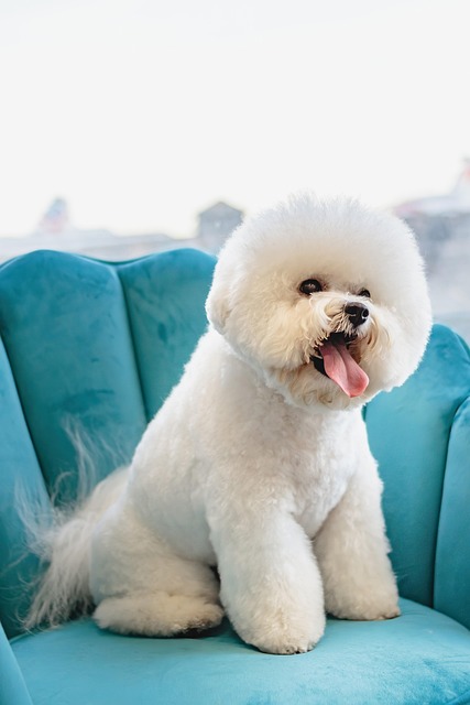 Pet spa specialist portrait with calm salon background